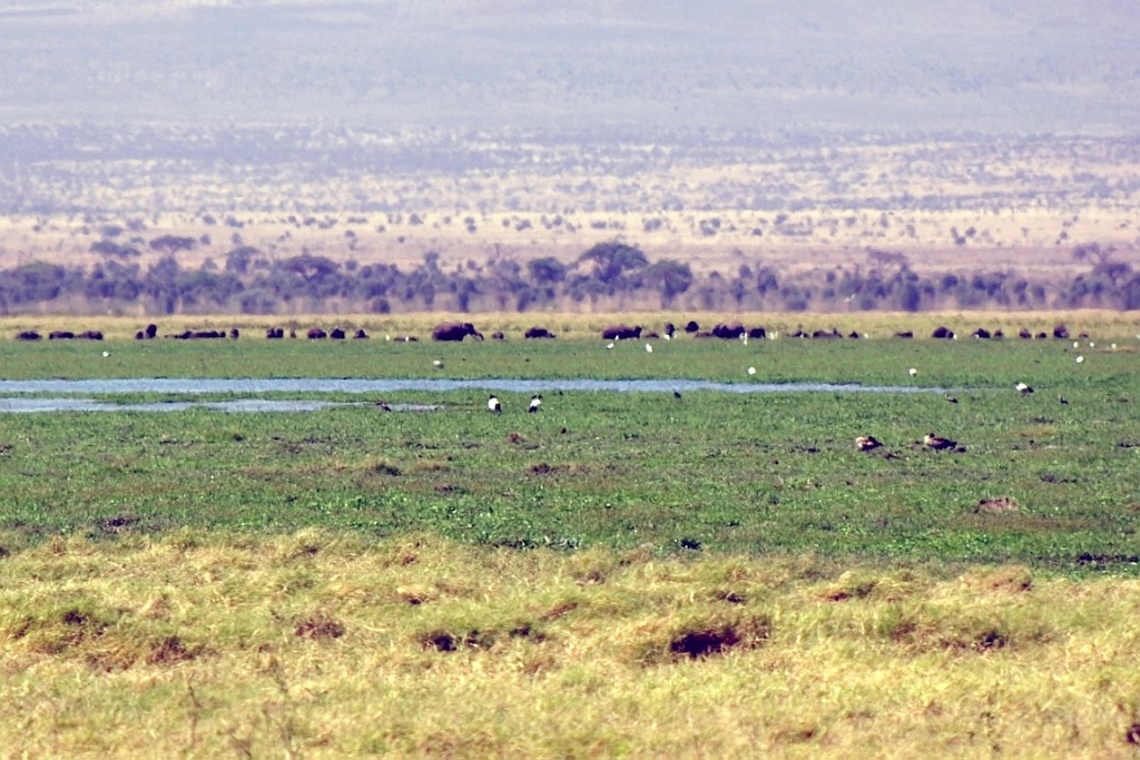 Kenia (160).jpg